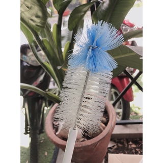 Cây Súc Bình Sữa,Cọ Rữa Bình sữa Pigeon 👶