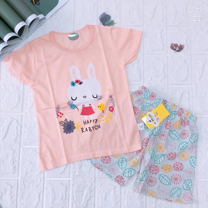 Bộ quần áo cotton sợi tre Quảng Châu size nhỡ 70/75/80 (17-30kg)