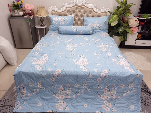 Drap cotton Hàn quốc 100% cotton ( nhiều mẫu)