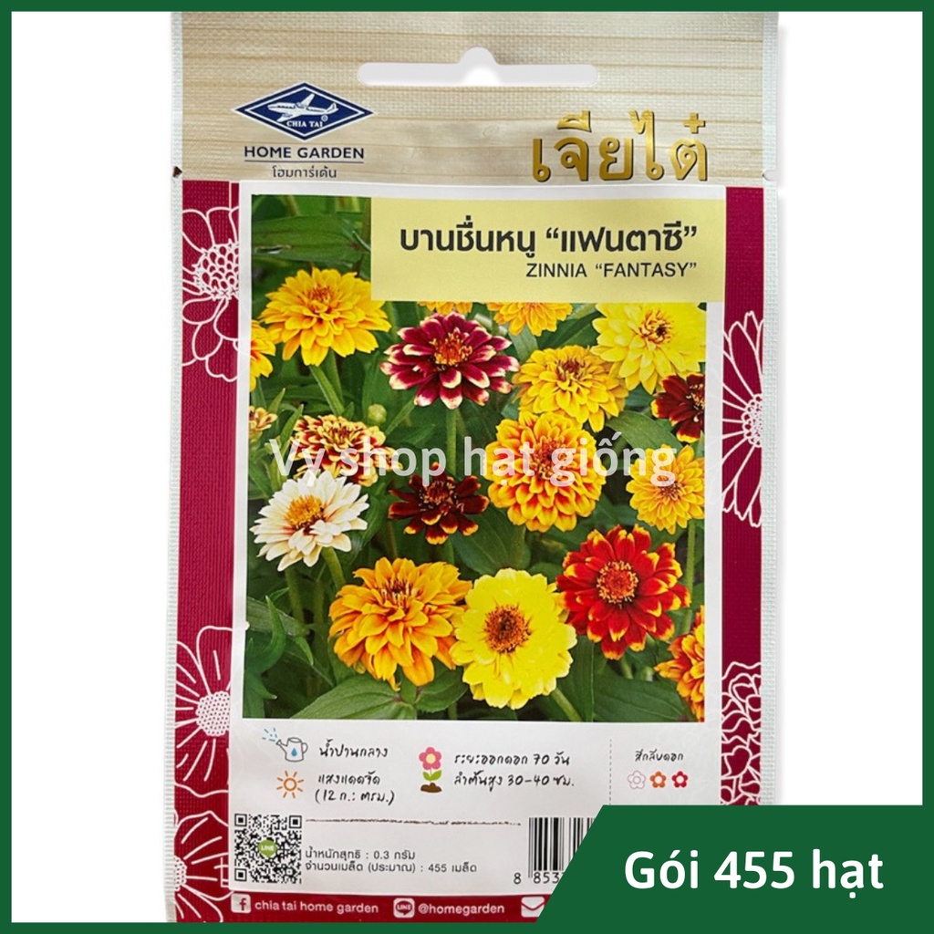 Hạt giống hoa cúc lá nhám kép viền  Thái Lan gói 455 hạt mix màu