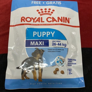 Gói 50gr dùng thử Royal CANIN Maxi Puppy