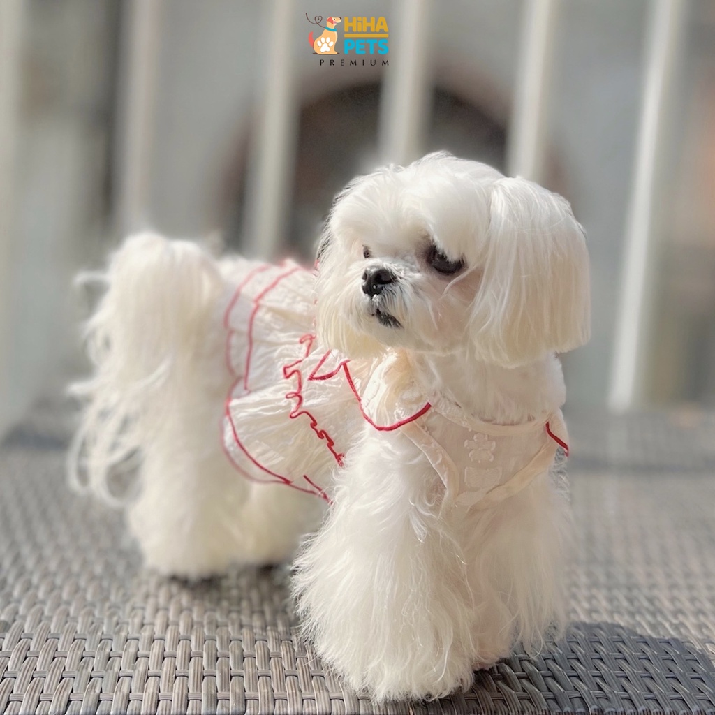 Quần Áo Chó Mèo Hàn Quốc Quần Áo Thú Cưng Thời Trang Cao Cấp Hihapet.