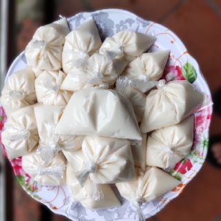 Nấm sữa KEFIR