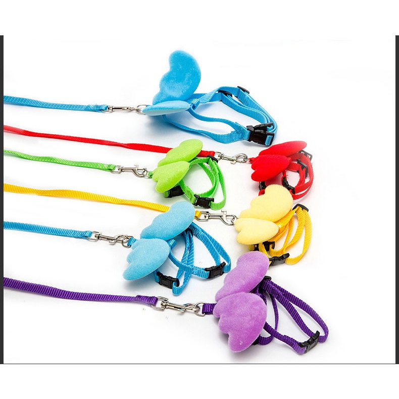 Dây Dắt Thú Cưng Đi Dạo Hình Đôi Cánh Thiên Thần Thoáng Khí 27Pets