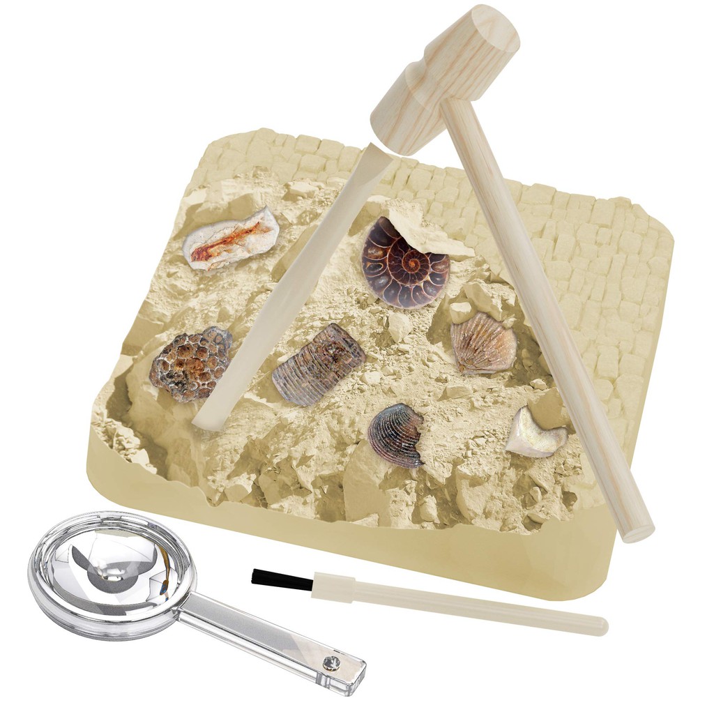 ĐỒ CHƠI KHẢO CỔ 15 HOÁ THẠCH QUÀ TẶNG CHO BÉ YÊU KHOA HỌC