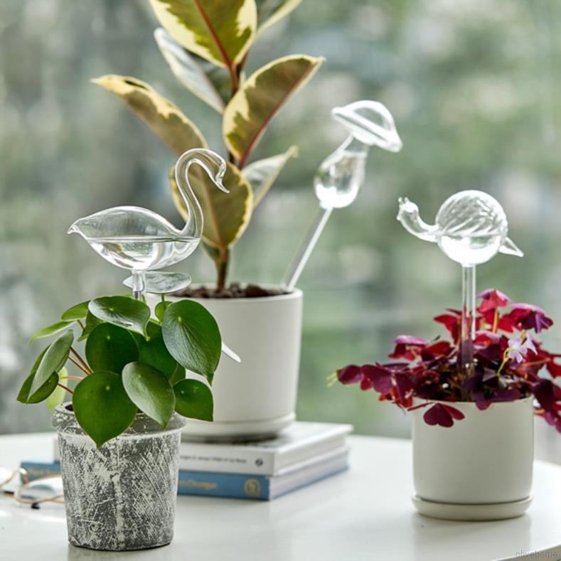 Bình thủy tinh đựng nước tưới cây với 12 loại tùy chọn tiện lợi
