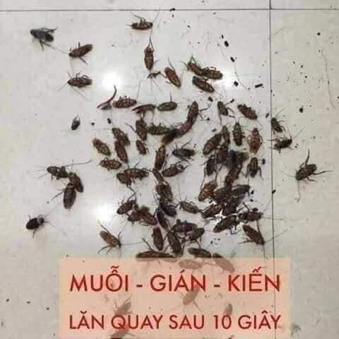 Thuốc diệt muỗi Thảo Mộc 10s Freeship Thuốc diệt gián Chế phẩm sinh học an toàn cho sức khỏe – Được BYT chứng nhận