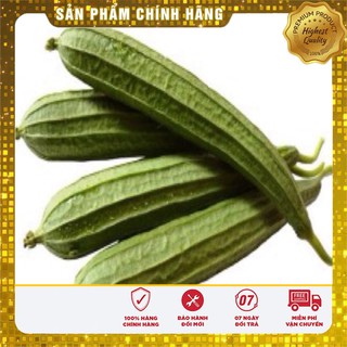 Hạt Giống Mướp Khía Thái Lan(10 hạt)