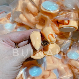 Ngón tay kê tập sơn
