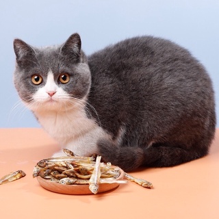 🐟🦐 Snack Cá Sấy Khô, Tôm Tép Sấy Khô - Đồ ăn snack cho cún mèo