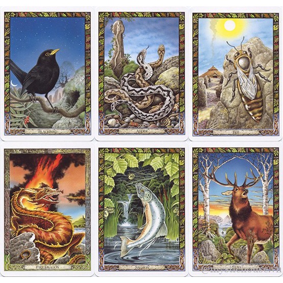 Bộ Bài Druid Animal Oracle (Mystic House Tarot Shop) - Bài Gốc Authentic Chính Hãng 100%