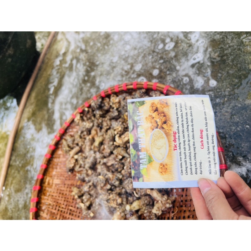 BỘT TAM THẤT BẮC CHUẨN 100G ( Hàng 50-52 củ 1kg to)