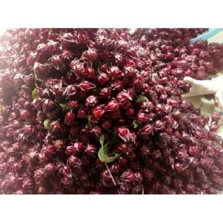 Hoa trà astiso đỏ( dâm bụt) Đà Lạt sấy khô