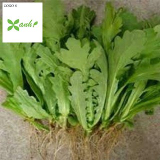 Hạt giống Cải Cúc 50 hạt