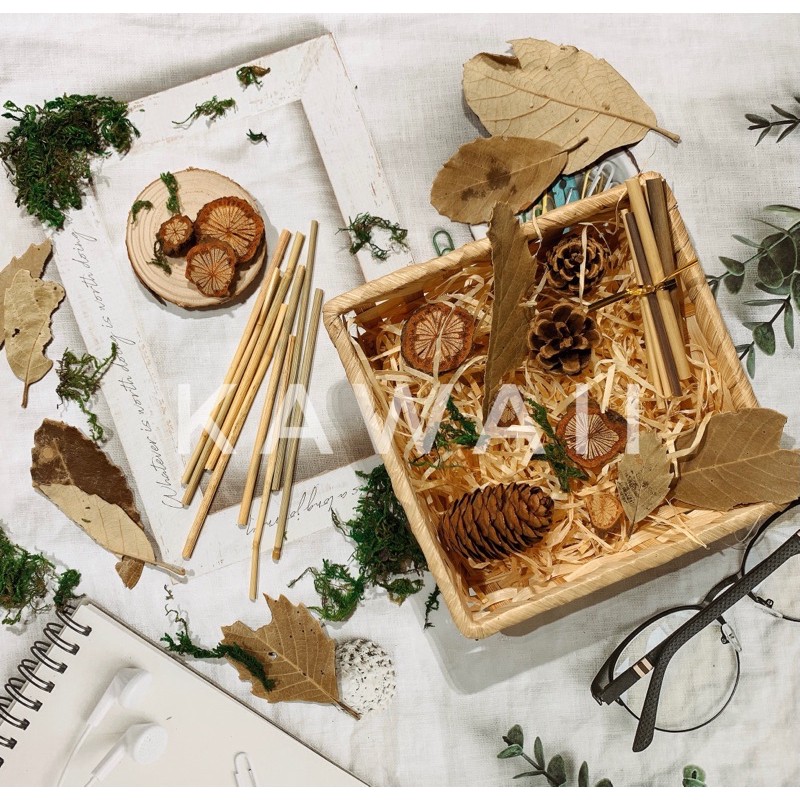Set thông khô chụp hình sản phẩm