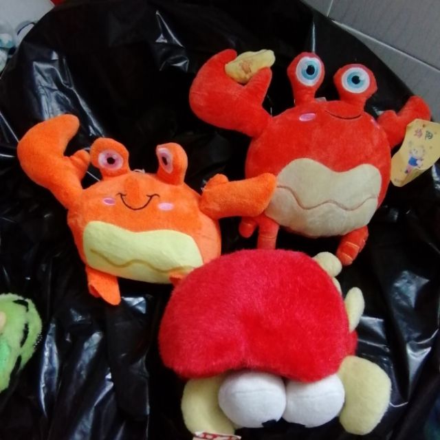 Gấu bông của hải càng cua