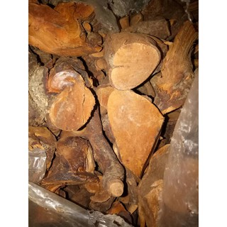 1kg Rể mú Từn 100% rể