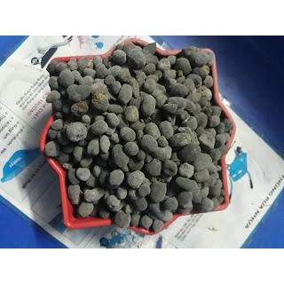 Phân dê đã qua xử lý sạch, bón lan, cây cảnh, cây hoa, cây trồng