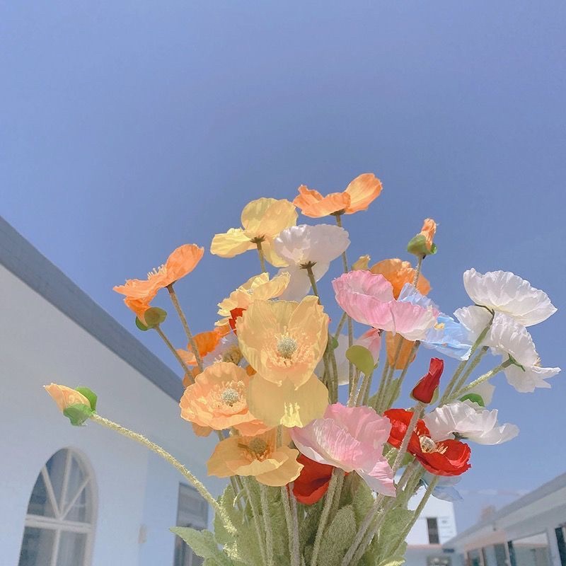 Hoa trang trí chụp hình