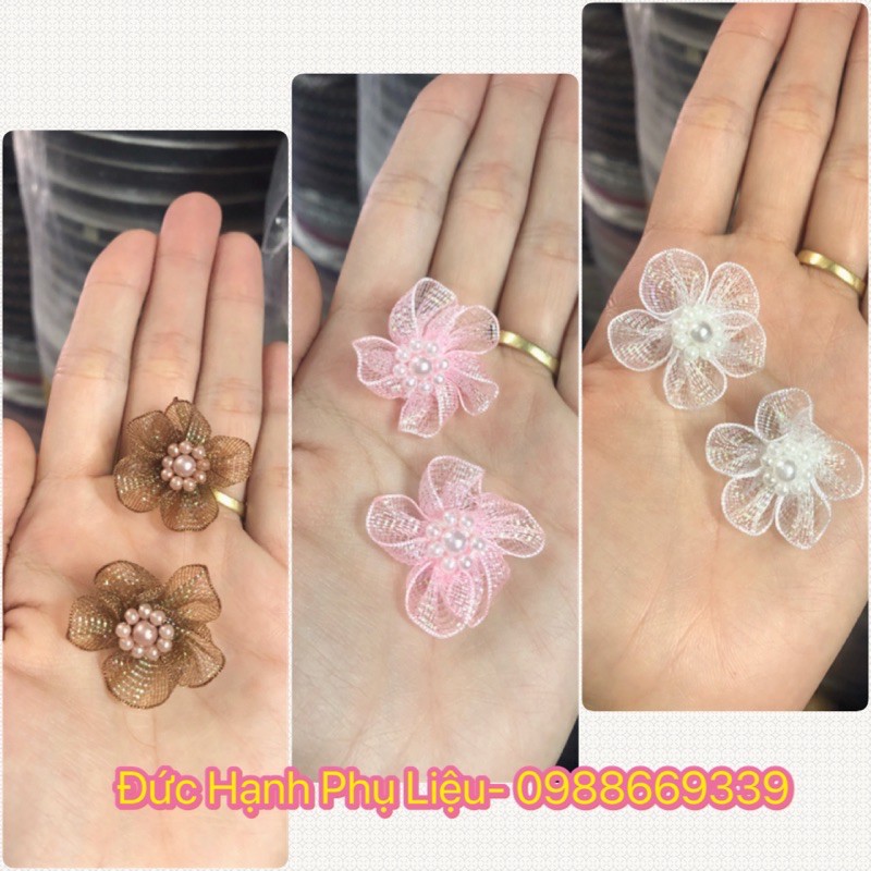 Hoa Kim Tuyến Trang Trí