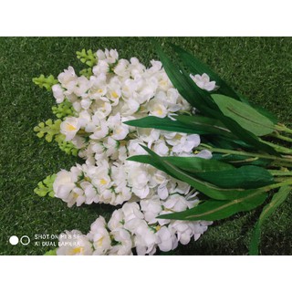 hoa phi yến giả