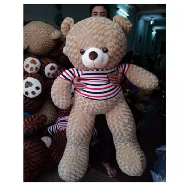gấu bông teddy kích thước 120cm