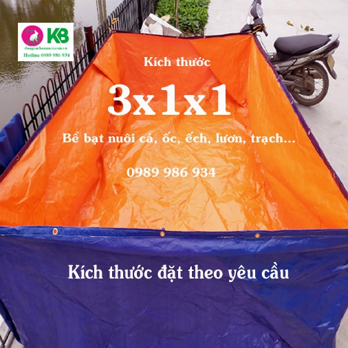 Bể bạt nuôi ốc lươn cá hàng dày dai và đóng khoen buộc