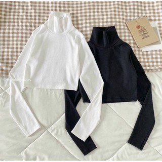 Áo Croptop Cổ Lọ Tay Dài Basic