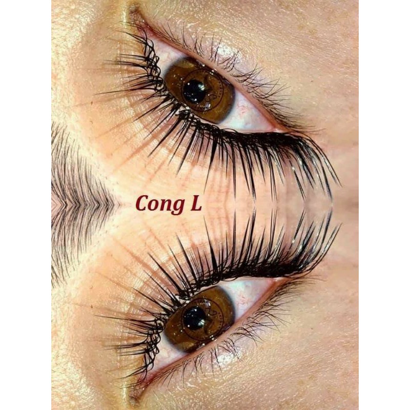 MI CONG L - MI PREMIUM Silk