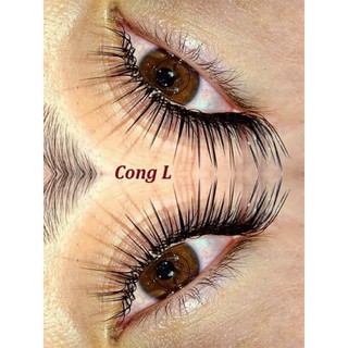 MI CONG L - MI PREMIUM Silk