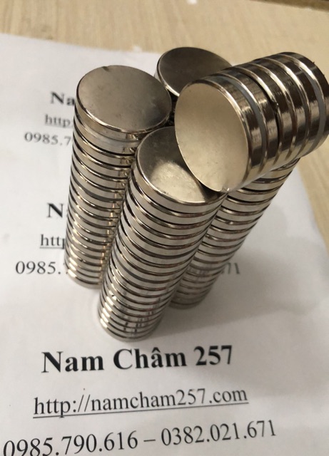 [Xả Kho] 2 viên Nam châm đất hiếm 30x5mm, loại nam châm trắng lực hút siêu mạnh
