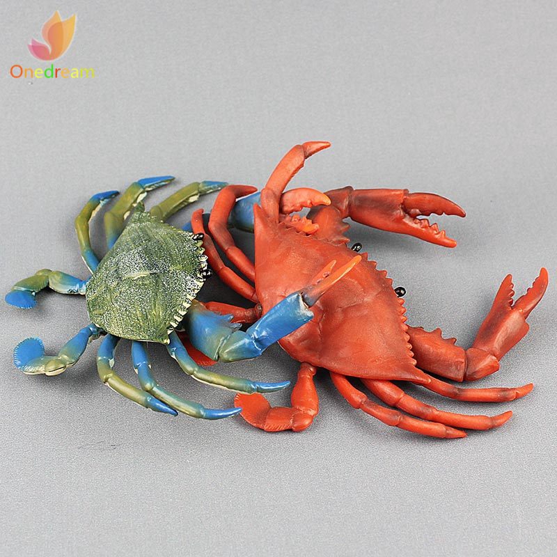 Đồ Chơi Mô Hình Con Cua Sống Động Cho Bé