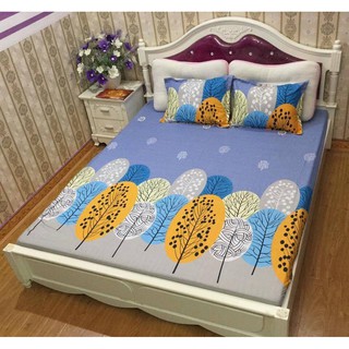 combo ga gối m6+m8
