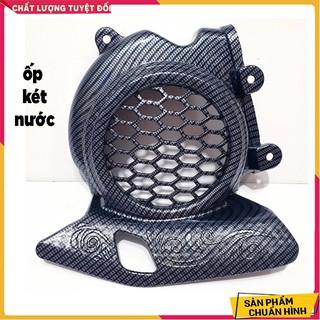 Ốp két nước vision 2021-22 carbon hàng loại 1 artistar