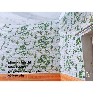 (tặng kèm dụng cụ) combo 10m giấy dán tường gạch dây leo 3d