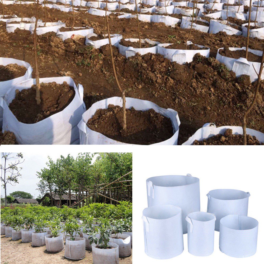 Túi Vải Trồng Cây Thân Thiện Với Môi Trường