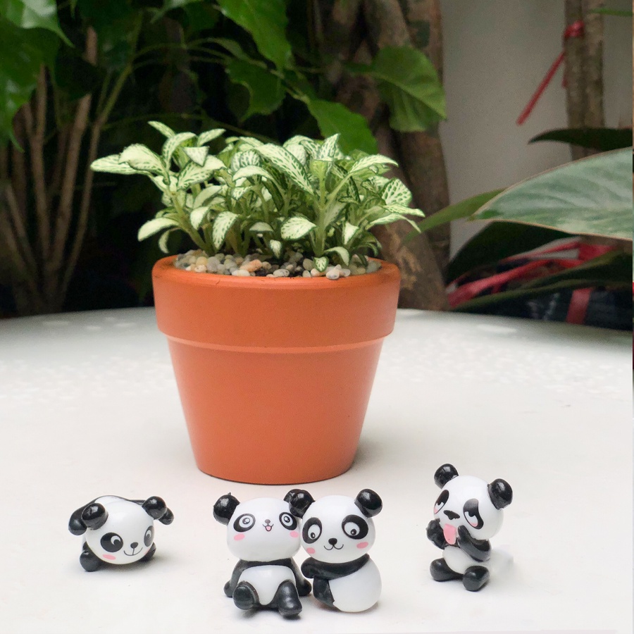 Phụ kiện tiểu cảnh gấu trúc trang trí sen đá, xương rồng, terrarium, cây cảnh mini, cây để bàn