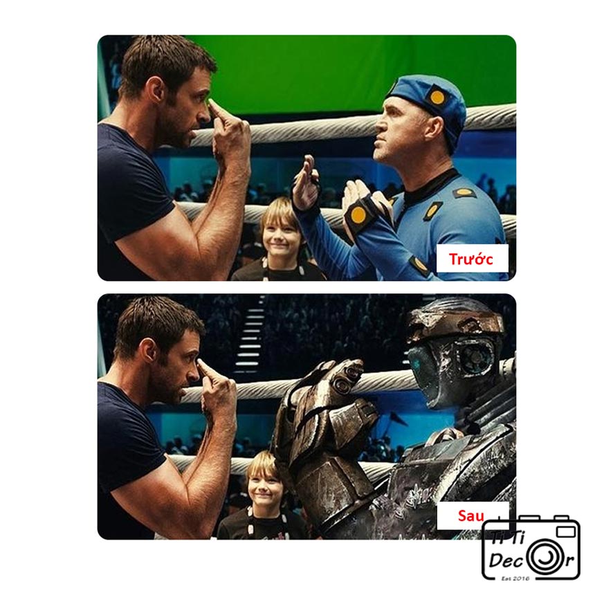 Phông Vải Xanh Lá TiTi Decor, Phông Nền Livestream TikTok Chuyên Dụng Cho Studio Chụp Ảnh, Quay Video, Tách Nền