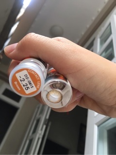 Kính áp tròng D2 BROWN ( DAILY BROWN )