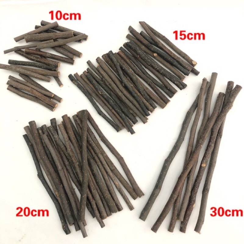 Set 10 khúc củi khô decor trang trí handmade