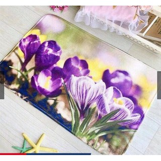 Combo 10 thảm lau chân 3D họa tiết