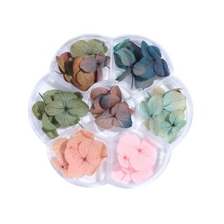 Hoa khô trang trí móng ẩn gel đẹp