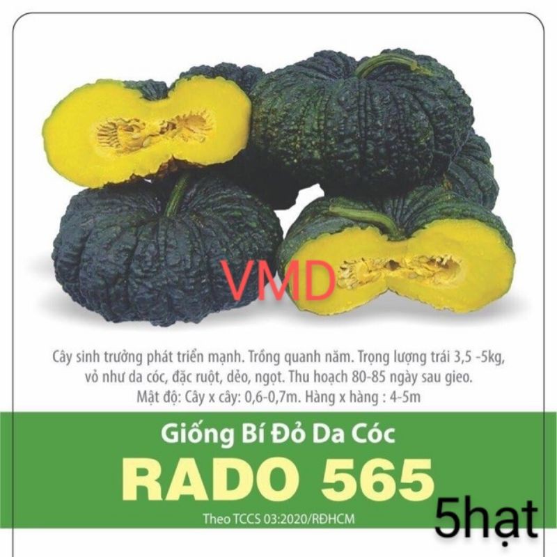 Hạt giống Bí Đỏ Da Cóc (RANG DONG)