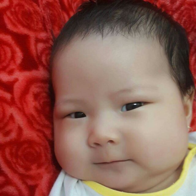 MaLaTaDay (Gấu Siêu Quậy)