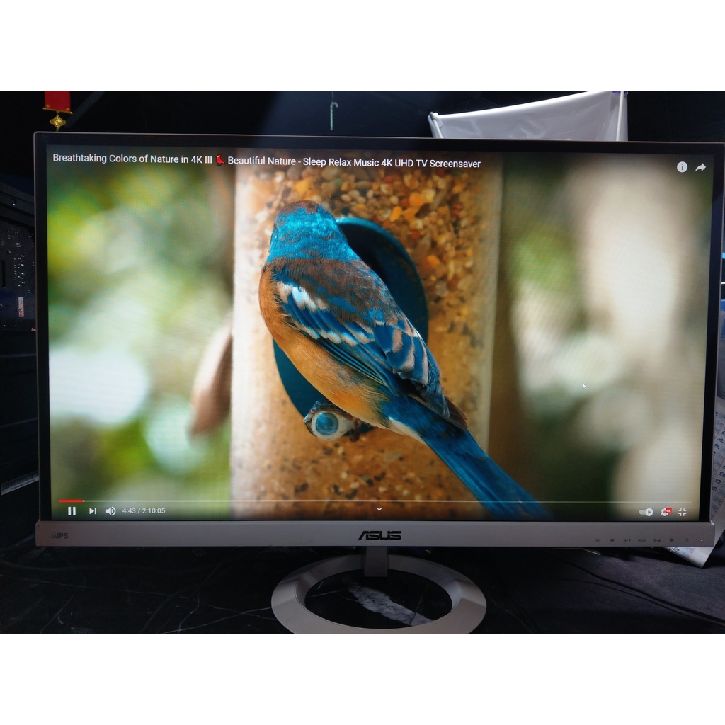 Màn hình asus vx279 cũ đẹp | BigBuy360 - bigbuy360.vn