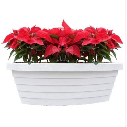(Now ship) Chậu thuyền 50x25cm cao ấp kèm lưới thông minh_Chậu nhựa cao cấp trồng rau, hoa, cây cảnh