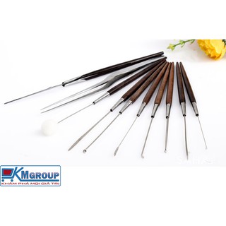 Bộ lấy ráy tai cao cấp 10 món-14477