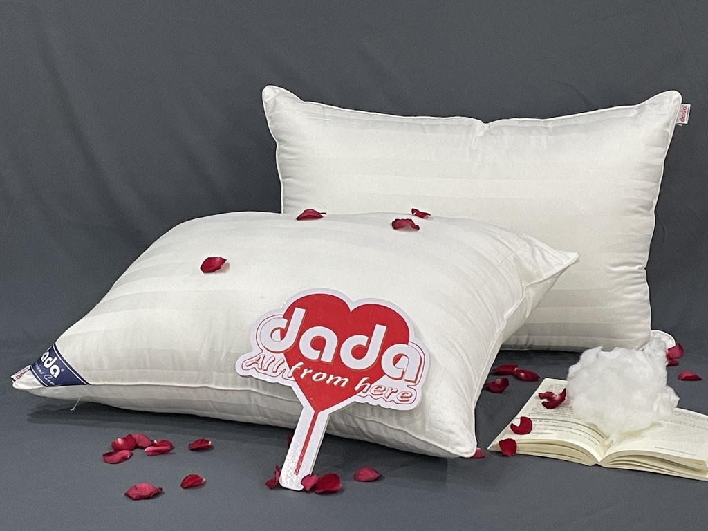 db101c0fcd8344290ad2131434843992