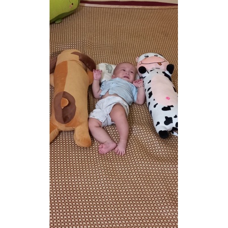 Gấu Bông Chó Mũi Tim Cao Cấp Thú Nhôi Bông Chó Ngủ Siêu Mềm Mịn Dễ Thương