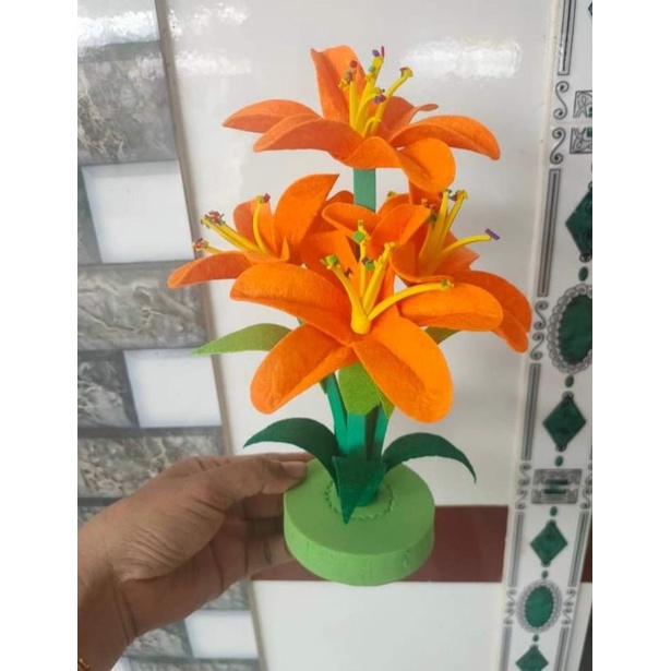 Cây hoa/ bụi hoa/ khóm hoa vải nỉ mầm non